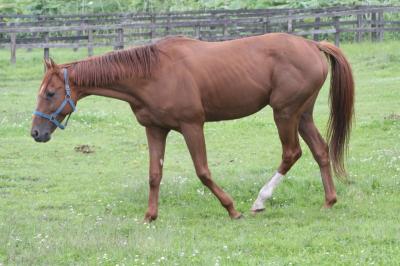 ファイル 96-2.jpg