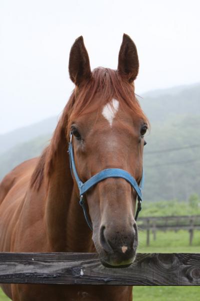 ファイル 96-4.jpg