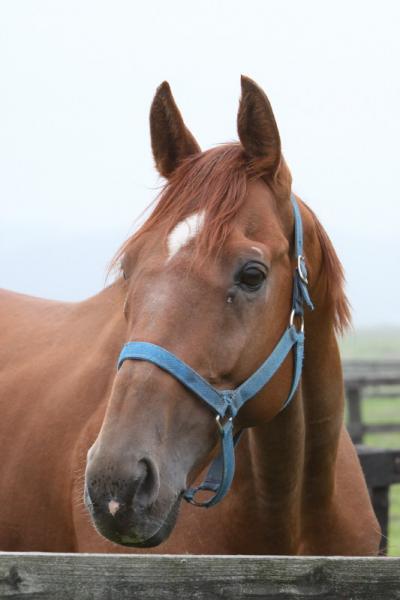 ファイル 96-5.jpg