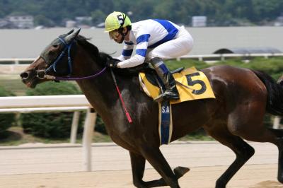 ファイル 98-1.jpg