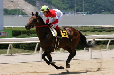 ファイル 99-1.jpg