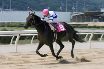 ファイル 99-2.jpg