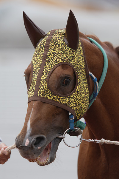 ファイル 105-2.jpg