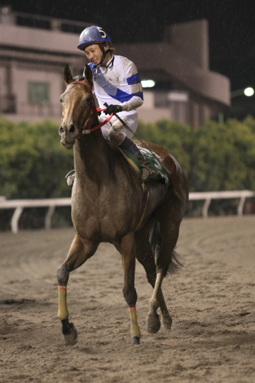 ファイル 11-2.jpg