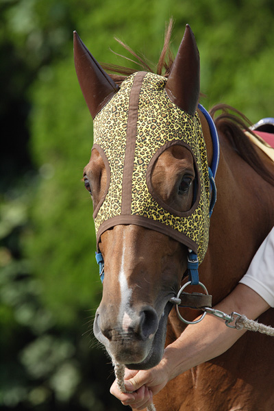 ファイル 110-1.jpg