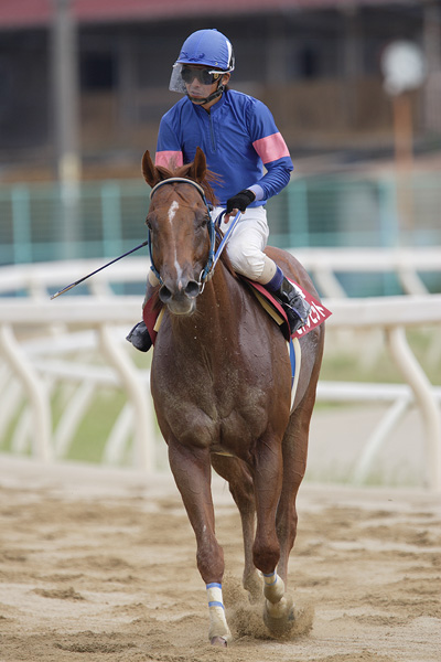 ファイル 110-4.jpg