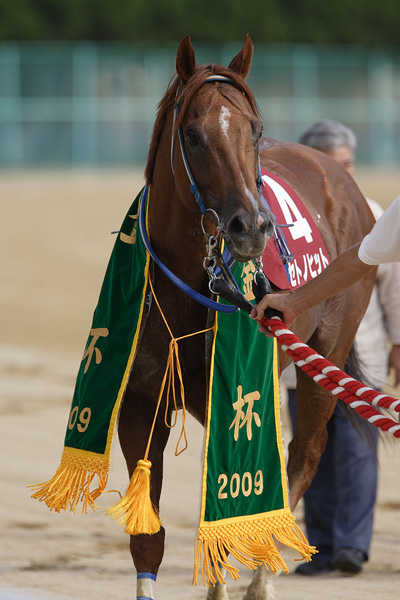 ファイル 110-5.jpg