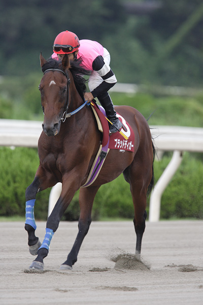 ファイル 115-4.jpg