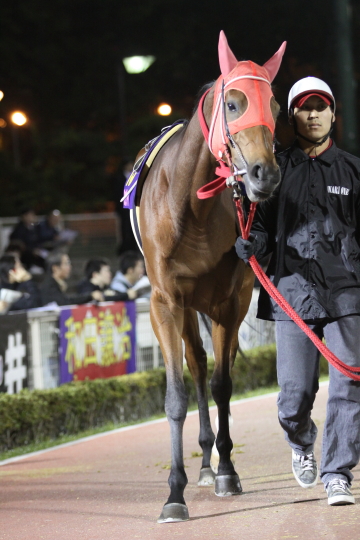 ファイル 16-2.jpg