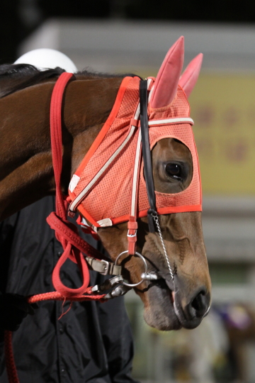 ファイル 16-4.jpg