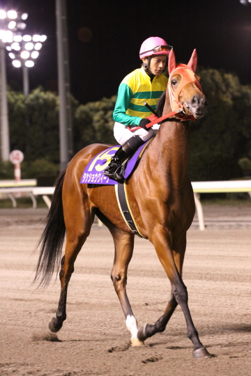 ファイル 17-1.jpg