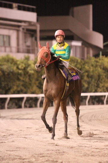 ファイル 17-3.jpg