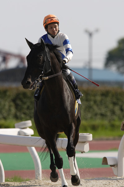 ファイル 227-2.jpg