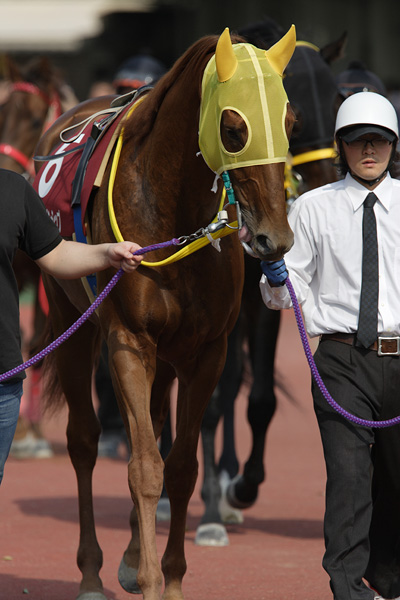 ファイル 232-1.jpg