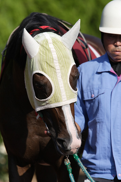 ファイル 263-1.jpg