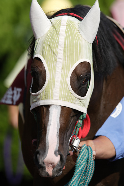 ファイル 263-3.jpg