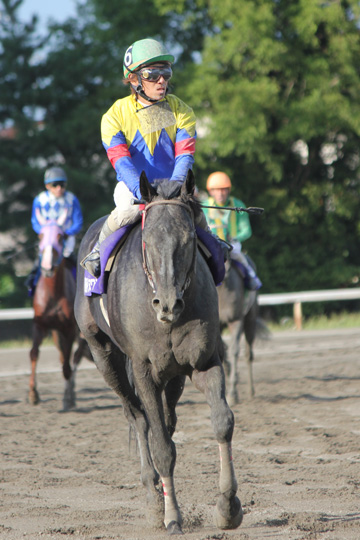 ファイル 266-1.jpg