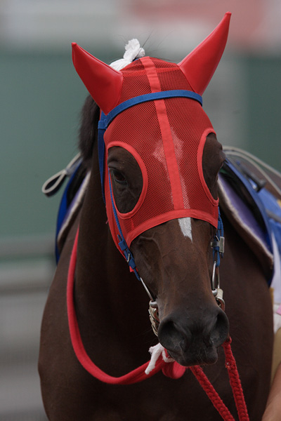 ファイル 272-1.jpg