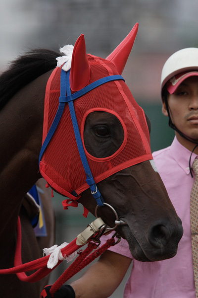 ファイル 272-2.jpg