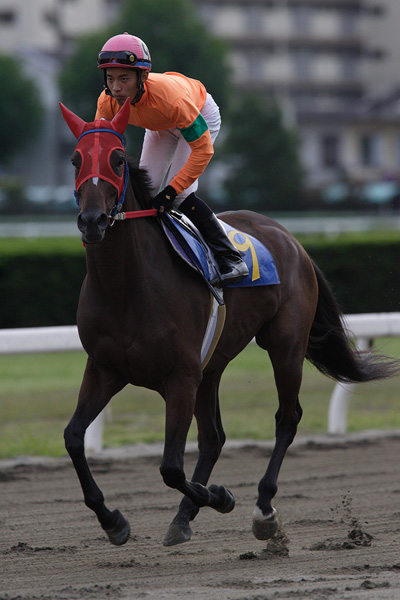 ファイル 272-3.jpg