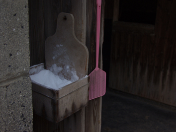 ファイル 33-3.jpg