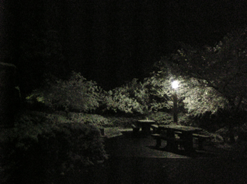 ファイル 34-5.jpg