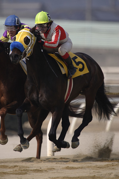 ファイル 344-1.jpg