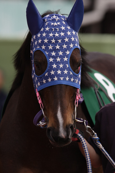 ファイル 344-3.jpg