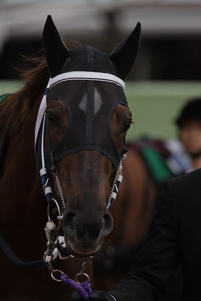 ファイル 344-4.jpg