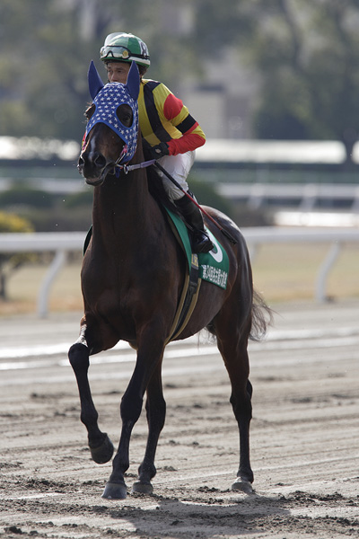 ファイル 344-5.jpg