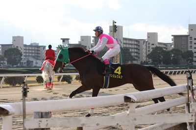 ファイル 36-2.jpg