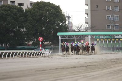 ファイル 36-3.jpg