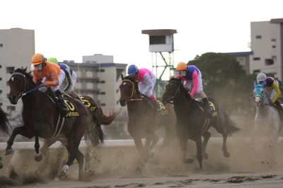 ファイル 36-4.jpg