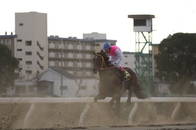 ファイル 36-5.jpg