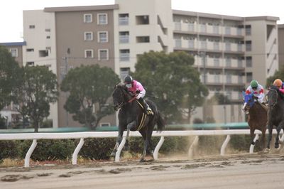 ファイル 37-1.jpg