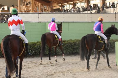 ファイル 37-4.jpg