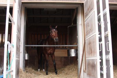 ファイル 38-2.jpg