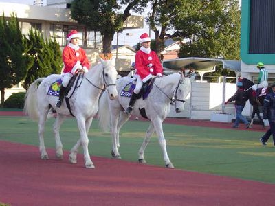 ファイル 39-1.jpg