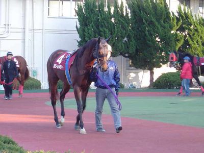 ファイル 39-2.jpg