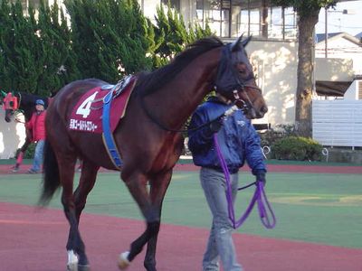 ファイル 39-3.jpg