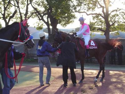 ファイル 40-1.jpg