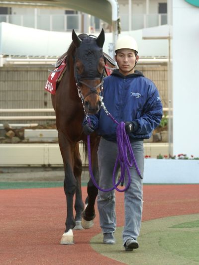 ファイル 41-2.jpg