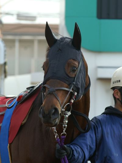 ファイル 41-3.jpg