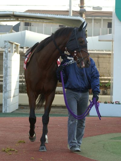 ファイル 41-4.jpg