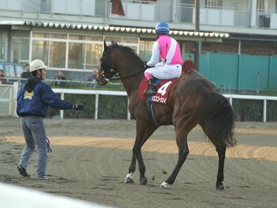 ファイル 41-5.jpg