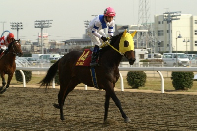 ファイル 49-4.jpg