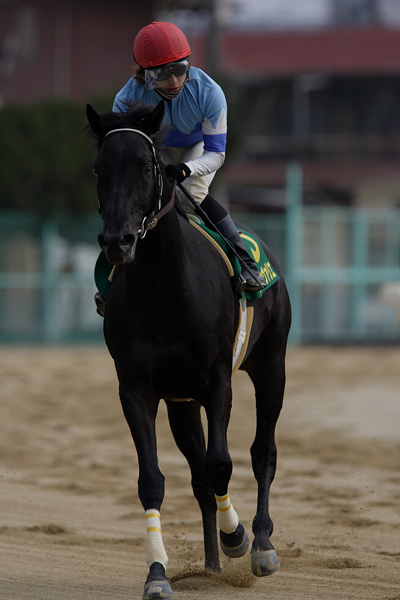 ファイル 514-5.jpg