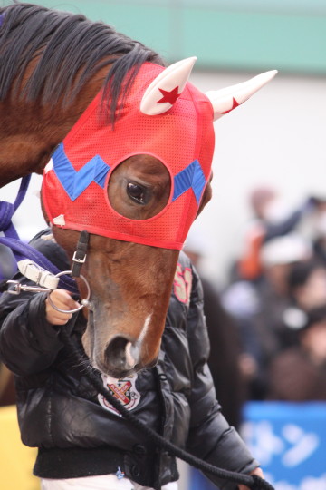 ファイル 52-1.jpg