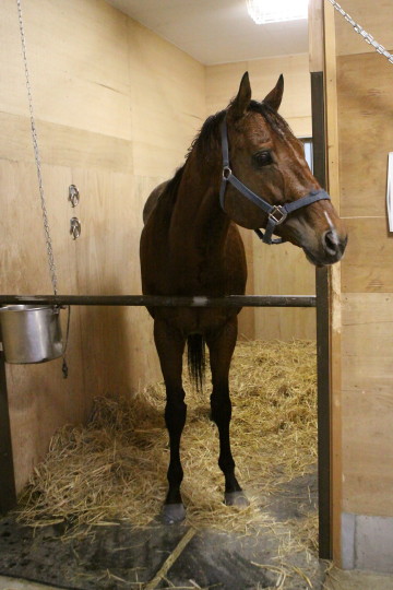 ファイル 52-4.jpg