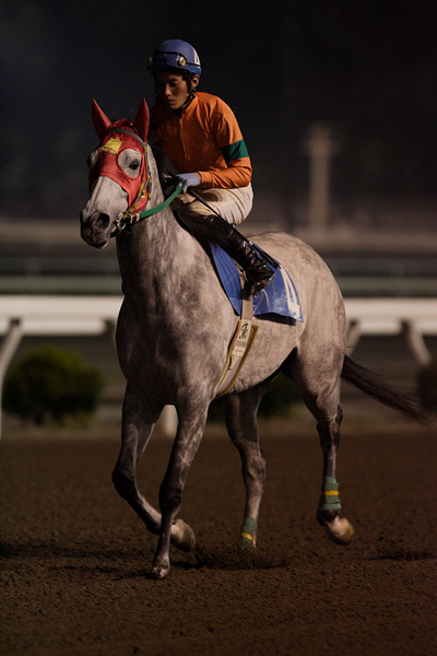 ファイル 520-1.jpg